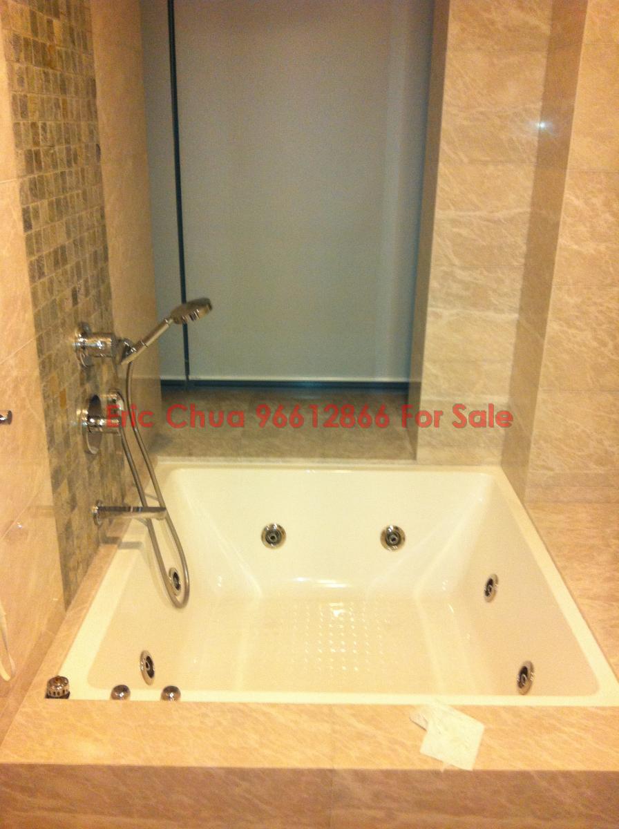 Angullia Park Residences @ Orchard (D10), Apartment #101153882